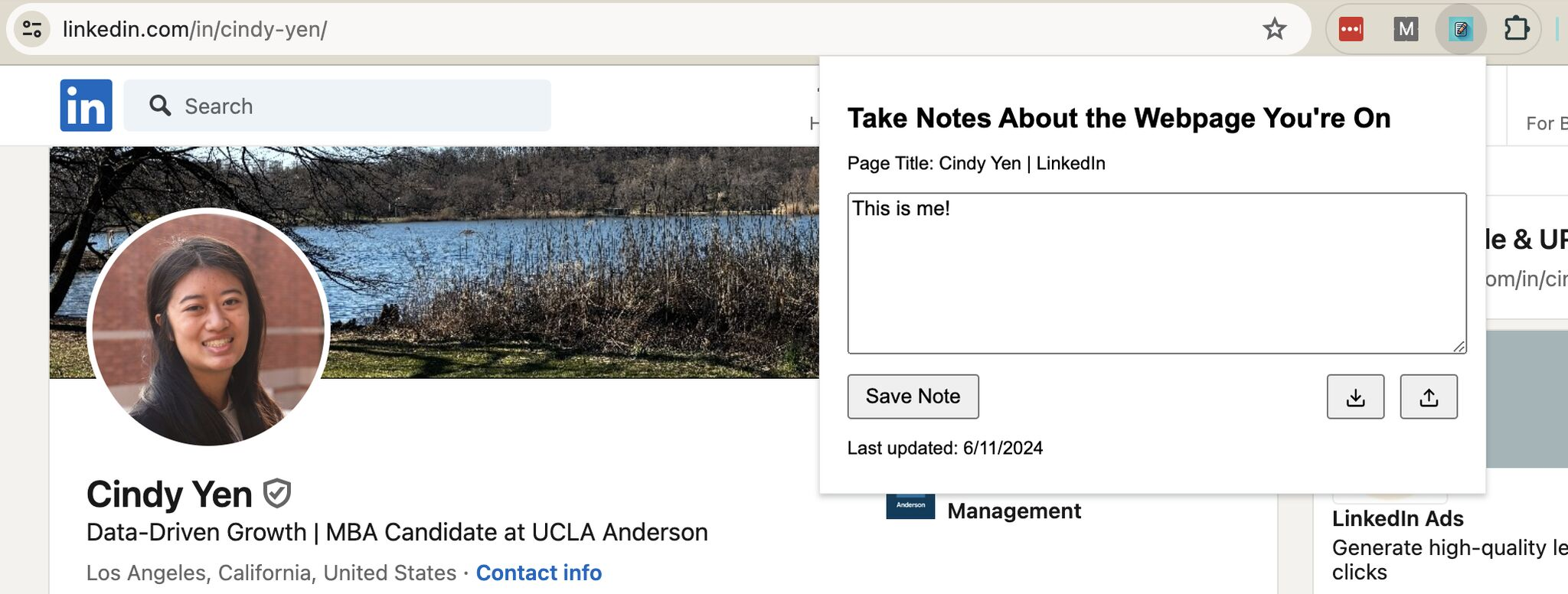 Screenshot of URL Parameter Splitter extension