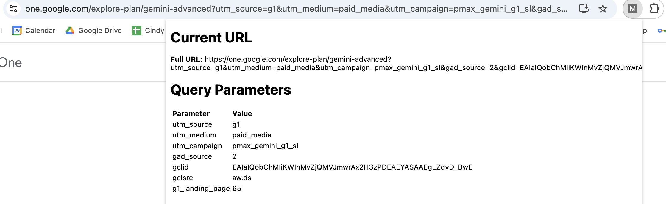 Screenshot of URL Parameter Splitter extension